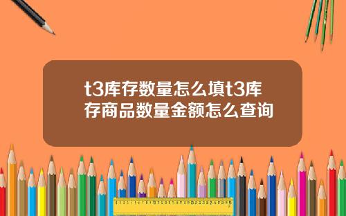 t3库存数量怎么填t3库存商品数量金额怎么查询