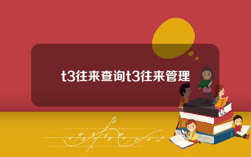 t3往来查询t3往来管理