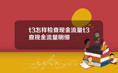 t3怎样检查现金流量t3查现金流量明细