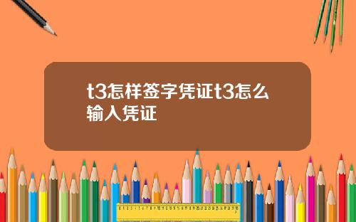 t3怎样签字凭证t3怎么输入凭证