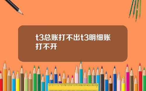 t3总账打不出t3明细账打不开
