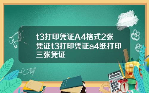 t3打印凭证A4格式2张凭证t3打印凭证a4纸打印三张凭证