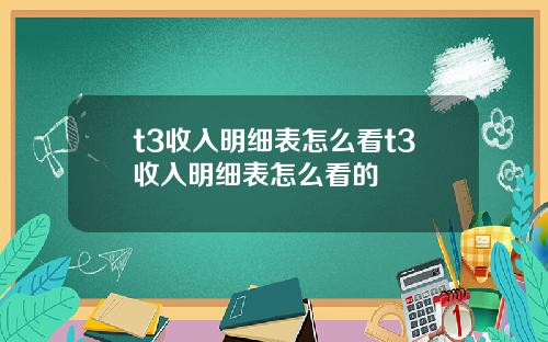 t3收入明细表怎么看t3收入明细表怎么看的