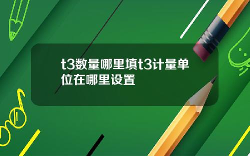 t3数量哪里填t3计量单位在哪里设置