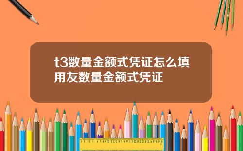 t3数量金额式凭证怎么填用友数量金额式凭证