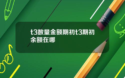 t3数量金额期初t3期初余额在哪