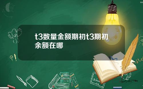 t3数量金额期初t3期初余额在哪