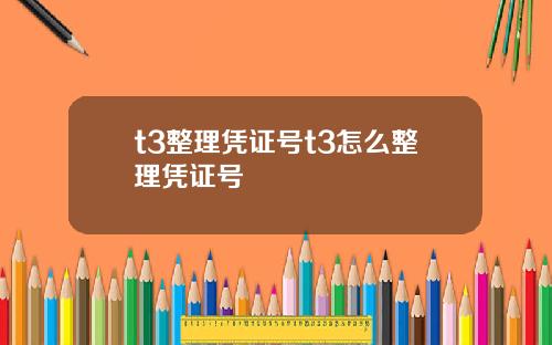 t3整理凭证号t3怎么整理凭证号
