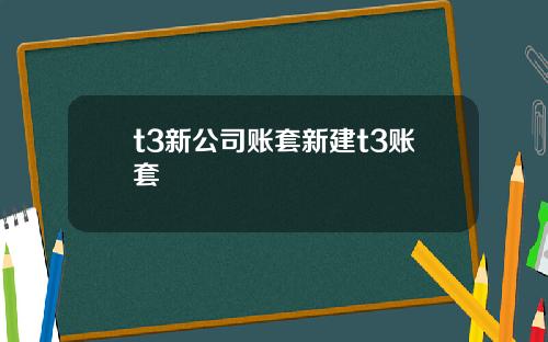 t3新公司账套新建t3账套