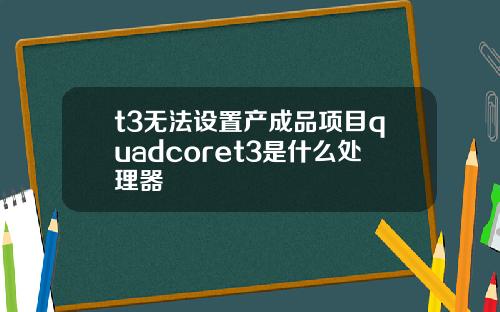 t3无法设置产成品项目quadcoret3是什么处理器