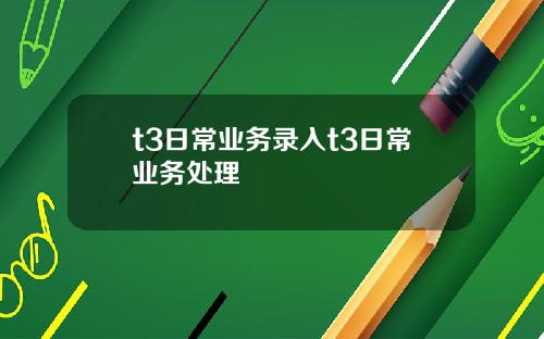 t3日常业务录入t3日常业务处理
