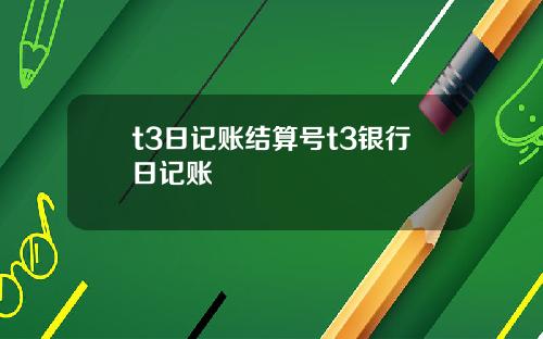 t3日记账结算号t3银行日记账