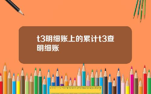 t3明细账上的累计t3查明细账