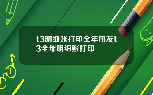 t3明细账打印全年用友t3全年明细账打印