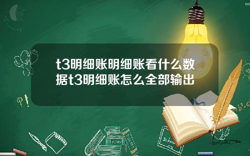 t3明细账明细账看什么数据t3明细账怎么全部输出
