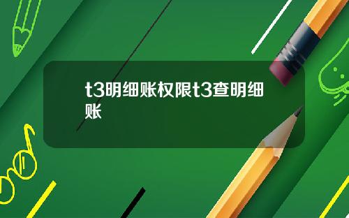 t3明细账权限t3查明细账