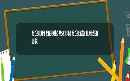 t3明细账权限t3查明细账