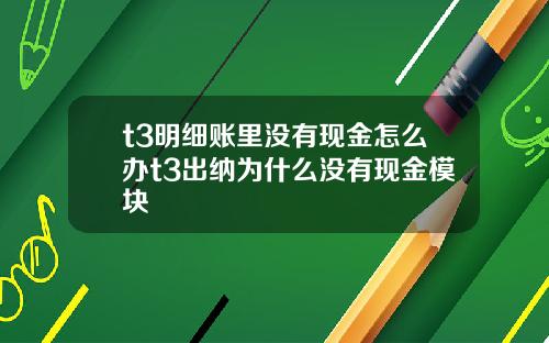 t3明细账里没有现金怎么办t3出纳为什么没有现金模块