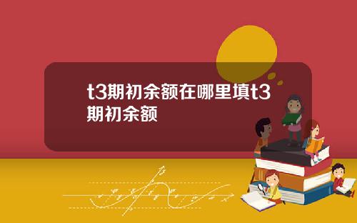 t3期初余额在哪里填t3期初余额