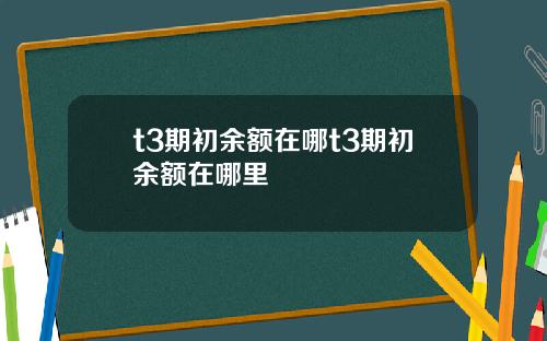 t3期初余额在哪t3期初余额在哪里