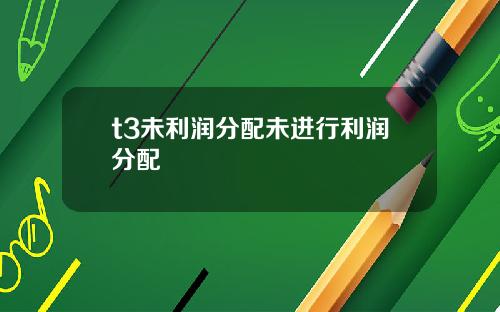 t3未利润分配未进行利润分配