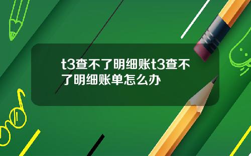 t3查不了明细账t3查不了明细账单怎么办