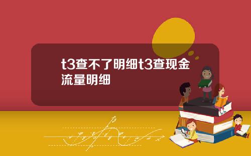 t3查不了明细t3查现金流量明细