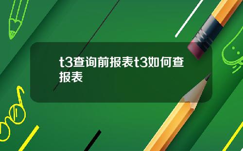 t3查询前报表t3如何查报表