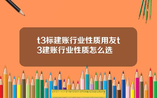 t3标建账行业性质用友t3建账行业性质怎么选