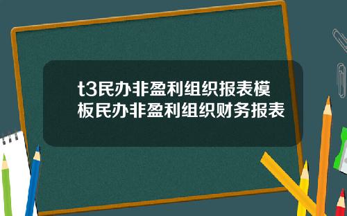 t3民办非盈利组织报表模板民办非盈利组织财务报表