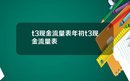 t3现金流量表年初t3现金流量表
