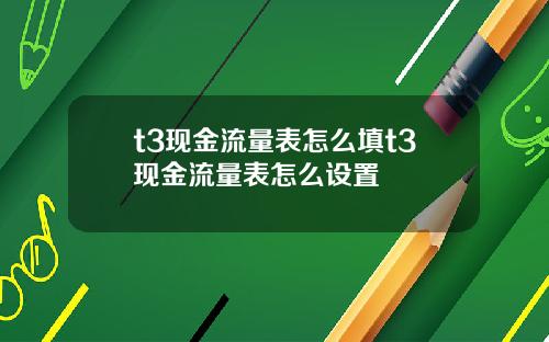 t3现金流量表怎么填t3现金流量表怎么设置