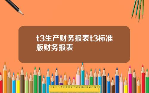t3生产财务报表t3标准版财务报表