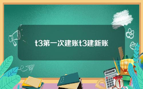 t3第一次建账t3建新账
