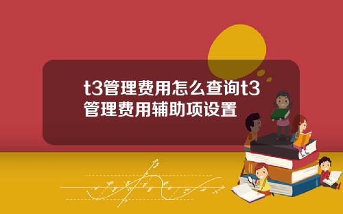 t3管理费用怎么查询t3管理费用辅助项设置
