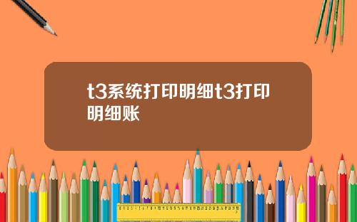 t3系统打印明细t3打印明细账