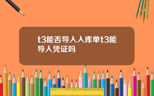 t3能否导入入库单t3能导入凭证吗