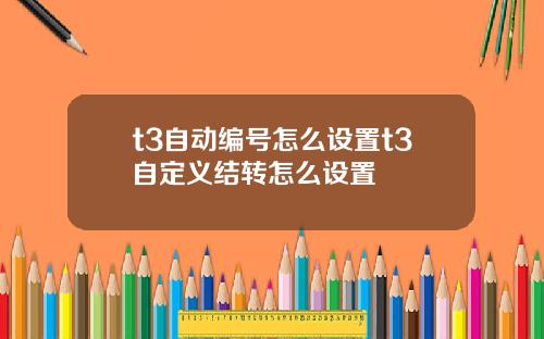 t3自动编号怎么设置t3自定义结转怎么设置