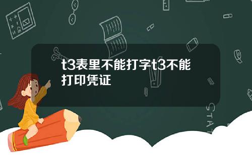 t3表里不能打字t3不能打印凭证