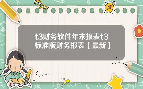 t3财务软件年末报表t3标准版财务报表【最新】