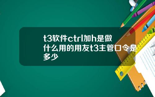 t3软件ctrl加h是做什么用的用友t3主管口令是多少