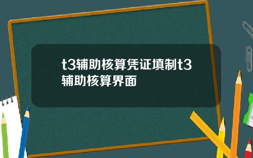 t3辅助核算凭证填制t3辅助核算界面