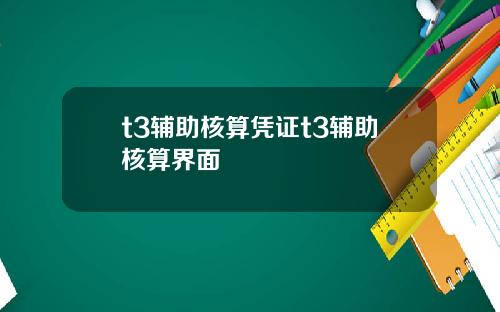 t3辅助核算凭证t3辅助核算界面