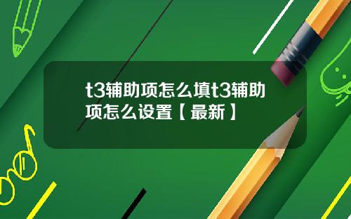 t3辅助项怎么填t3辅助项怎么设置【最新】