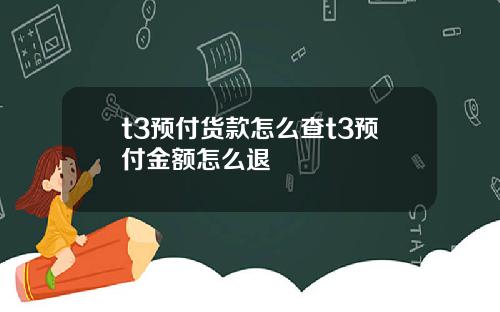 t3预付货款怎么查t3预付金额怎么退