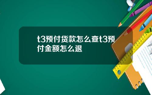 t3预付货款怎么查t3预付金额怎么退