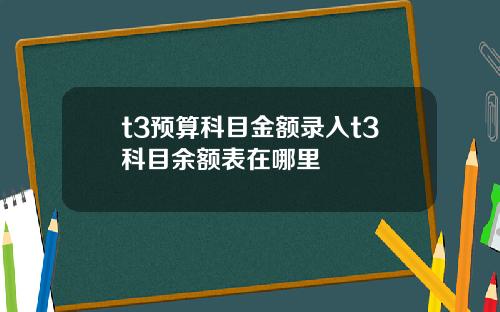 t3预算科目金额录入t3科目余额表在哪里