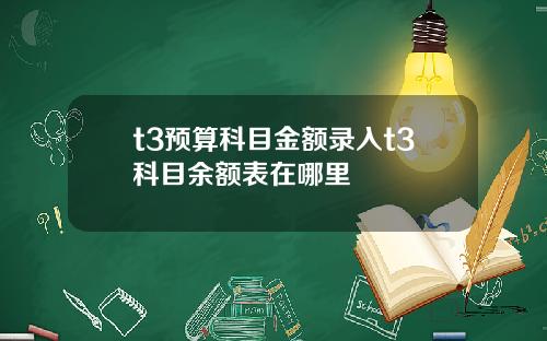 t3预算科目金额录入t3科目余额表在哪里