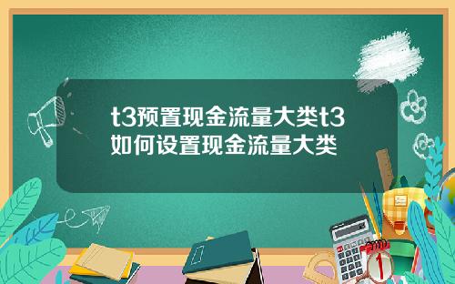 t3预置现金流量大类t3如何设置现金流量大类