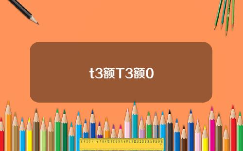 t3额T3额0
